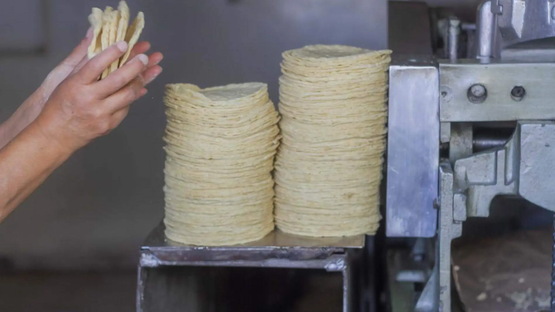 Insta Profeco a denunciar abusos en el aumento del precio de la tortilla.  Foto César Ortiz  El Sol de San Juan del Río